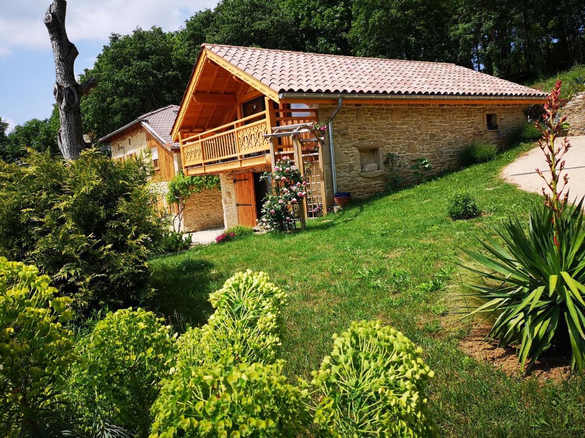 Chalet Le Clos De L'Orme Saint-Lattier Buitenkant foto