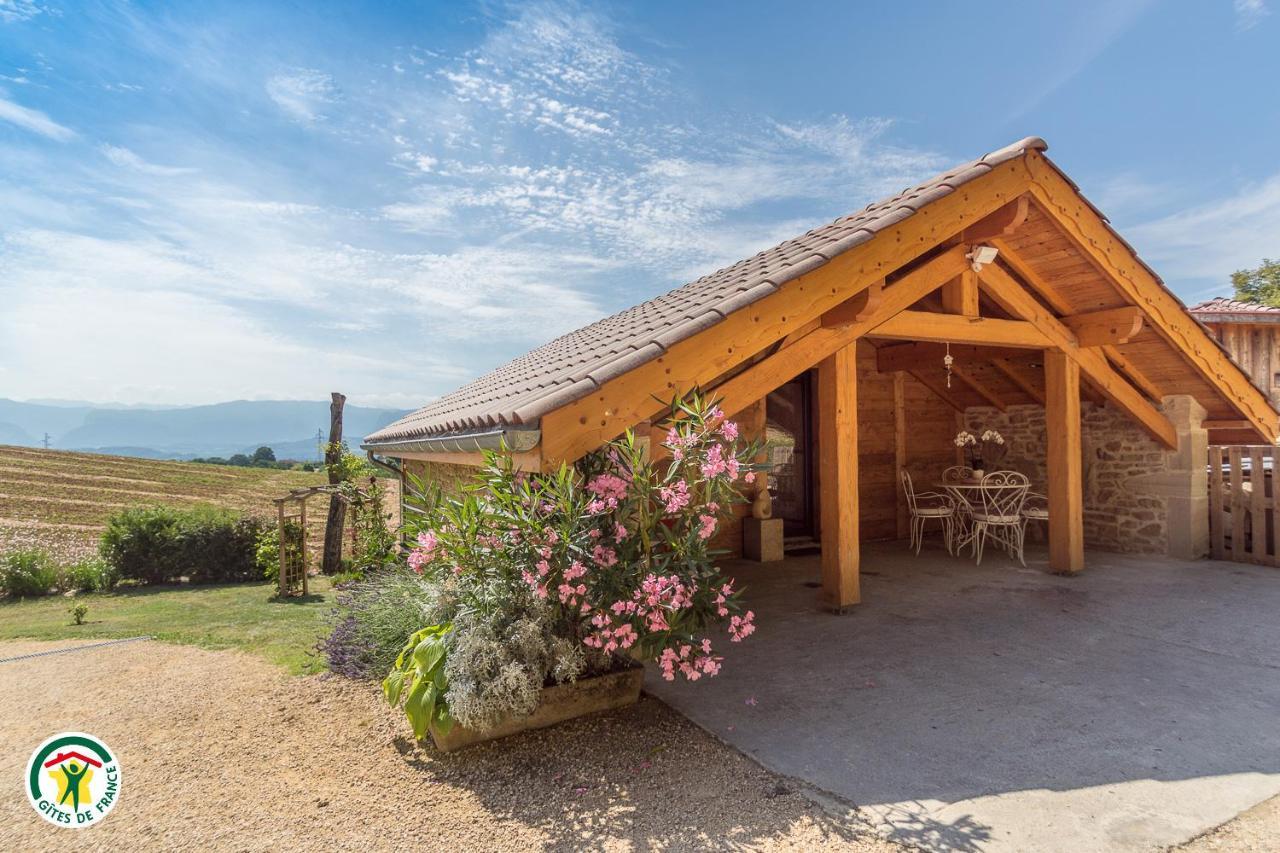 Chalet Le Clos De L'Orme Saint-Lattier Buitenkant foto